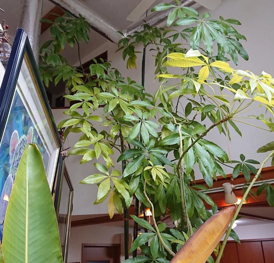 Setagaya-Ku - House - Vacation Stay 17811 Tóquio 0*,