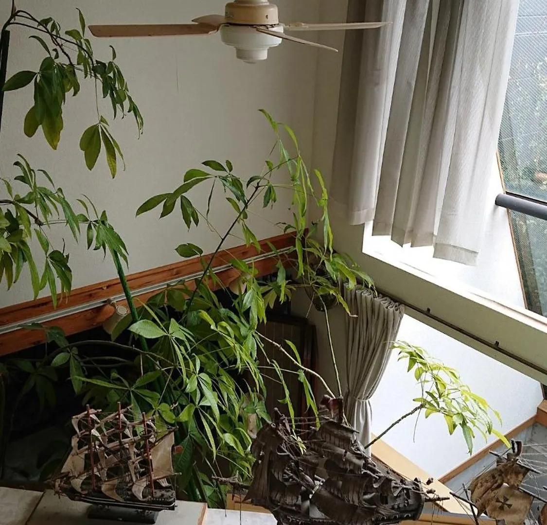 Гостевой дом Setagaya-Ku - House - Vacation Stay 17811 Токио