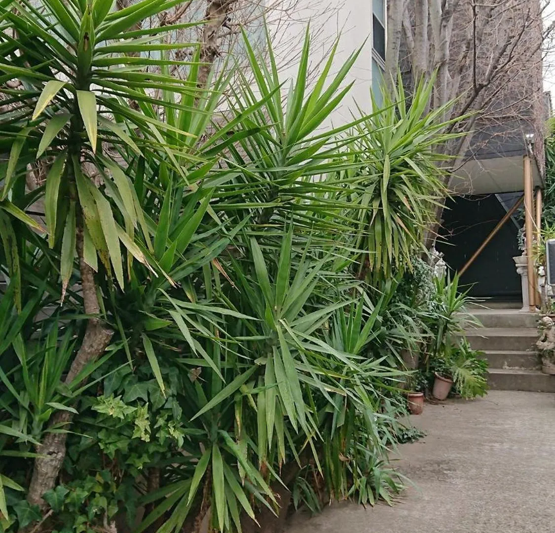 Setagaya-Ku - House - Vacation Stay 17811 Токио 0*,  Япония